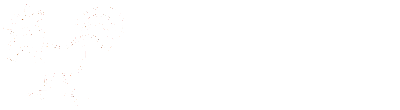 SISMEL INFO